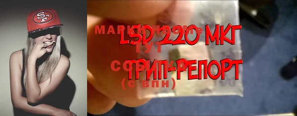 ГАЛЛЮЦИНОГЕННЫЕ ГРИБЫ Балабаново